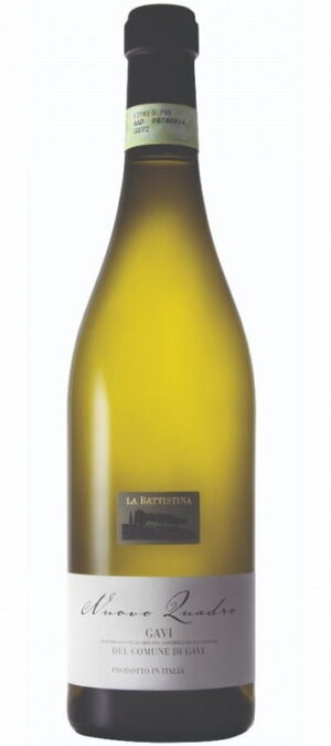 Nuovo Quadro Gavi di Gavi 2023