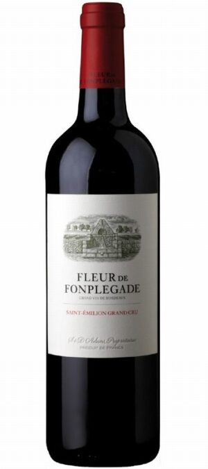 Fleur de Fonplegade Saint Emilion Grand Cru 2010 MAGNUM