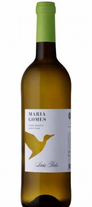 Luis Pato Maria Gomes 2023